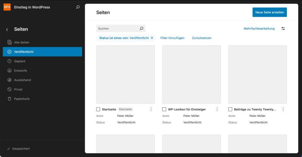 Der Website-Editor mit dem geöffneten Bereich Seiten und einer der neuen Ansichten, die alle veröffentlichten Seiten als Raster anzeigt.